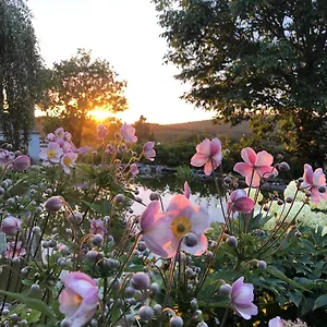 dashausderfloristin.luxembourghotelsguide.com/